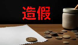 退市將滿周年，紫晶存儲(chǔ)遭中介機(jī)構(gòu)追討墊付賠償金10.86億元