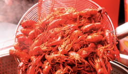 多地发力，谁才是真正的“小龙虾之乡”？