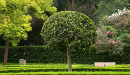 国资控股股东拟增持并提议回购，棕榈股份一字涨停，三年累亏近24亿元