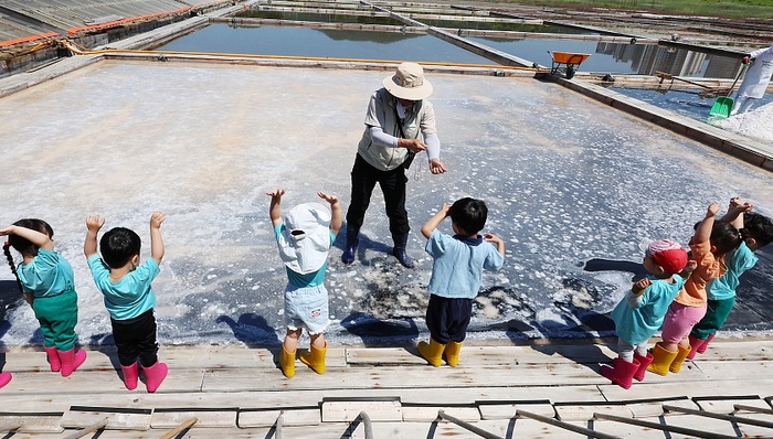 韩国,生育,釜山