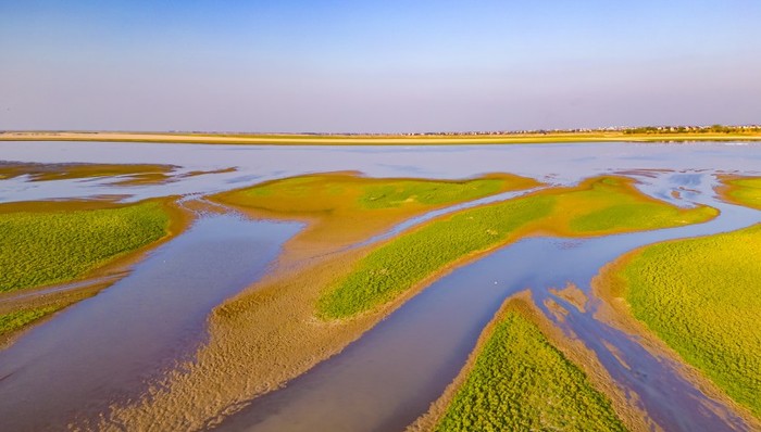 7月中下旬陆续退出警戒线，长江中下游主要控制站相继现峰转退