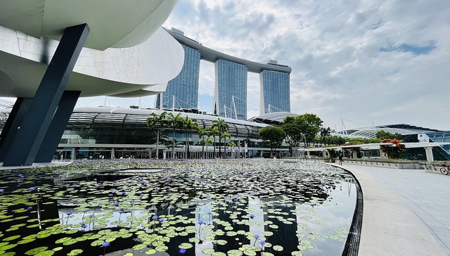 上海,新加坡,合作