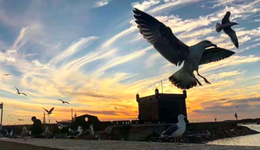 华为“三界”：赛力斯翻盘，北汽、江淮各有各的难