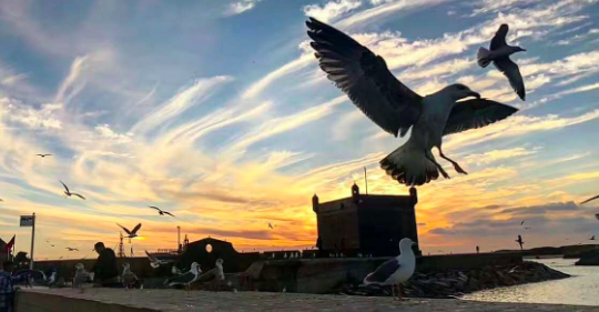 半年报,华为,赛力斯,北汽,江淮