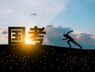 大模型进入公考行业