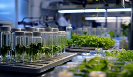 合成生物概念持续活跃，广州也要加快布局