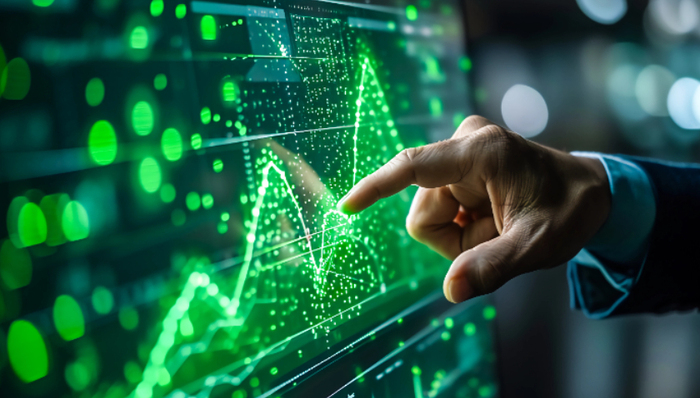 财务造假,康美药业,年报,