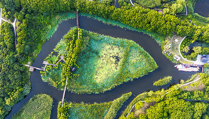 直通部委丨我国9省81条河流水位维持超警戒以上 财政部拟发行550亿元30年期超长期特别国债