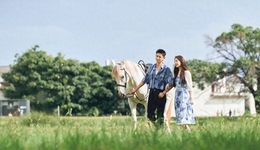 千萬(wàn)版權(quán)費(fèi)卻難出爆款，現(xiàn)言題材亟待破局