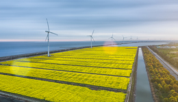 【特寫】如何把崇明建成長(zhǎng)三角農(nóng)業(yè)硅谷