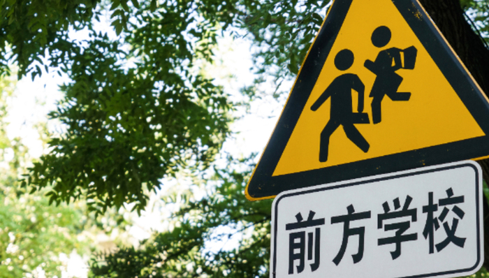 陈沁：从小学到复旦交大，两条升学路径的数据比较分析