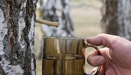 4个月卖1亿，力压可口可乐登顶，这个“东北土特产”火了