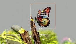 半年過(guò)去，AI視頻卷到哪兒了？