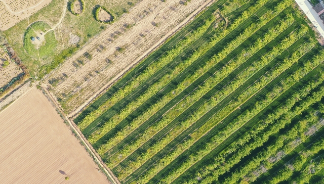 直通部委 | 国家林草局通报今年第二批毁林毁草典型问题 五部门：汛期加强各类文化遗产防灾减灾救灾工作