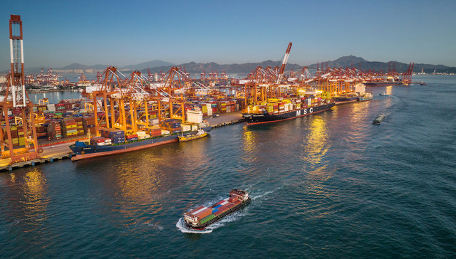 外贸,半年报,上半年,海关总署,进出口,深圳,上海,安徽,合肥,广东,西藏,新疆,东北,黑龙江