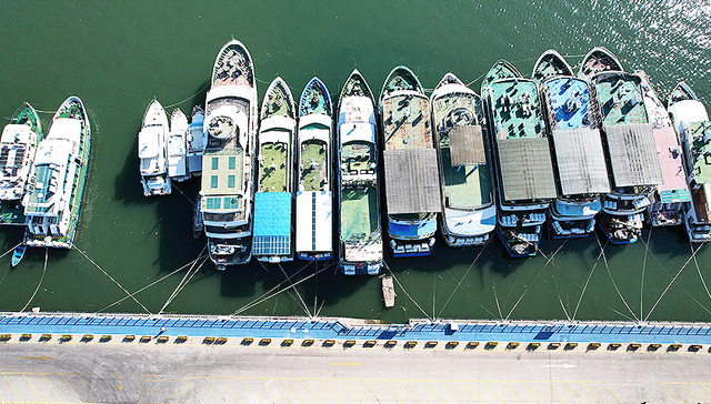 地方新闻精选丨明日福建省内计划停运全部旅客列车 江西42个县（市、区）超过39℃