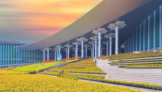 西门子医疗,纽仕兰,第七届进博会,萃斯,,因纳美