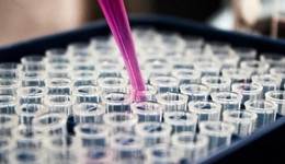 百元玻尿酸，巴黎賣到200歐