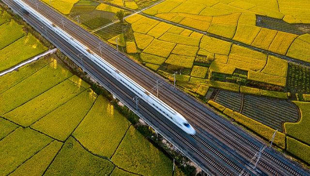 共和国保险长子的转型故事：中国人保如何谱写“保险+服务+科技”三重奏？