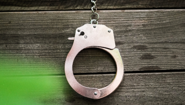 一品红集采围标被罚，连续多年提价后集采仅降价两成左右