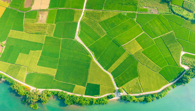 上海，农业，科技，农机