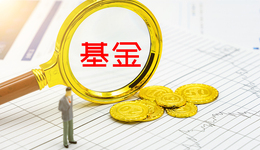 上海國(guó)資投資平臺(tái)將投哪些領(lǐng)域？這份最新文件給了方向