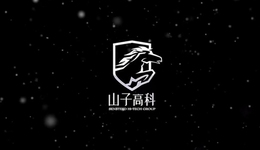 山子高科董事長為拉股價(jià)停領(lǐng)300萬年薪，透露經(jīng)營數(shù)據(jù)疑違規(guī)