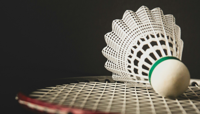 羽毛球,消费,投资,运动