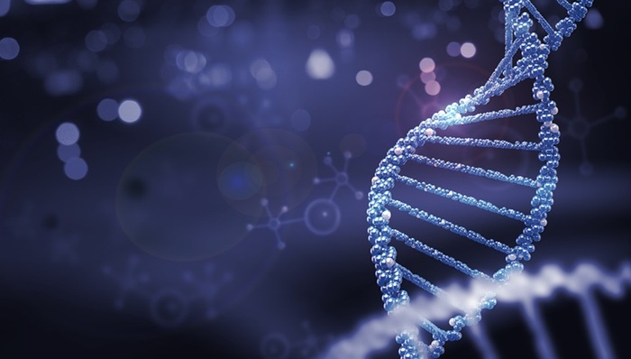 百奥赛图将与IDEAYA开展合作，“千鼠万抗”序列库又出货了