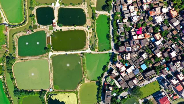 广东21市半年经济报：深圳广州差距拉大，汕头、湛江增速垫底