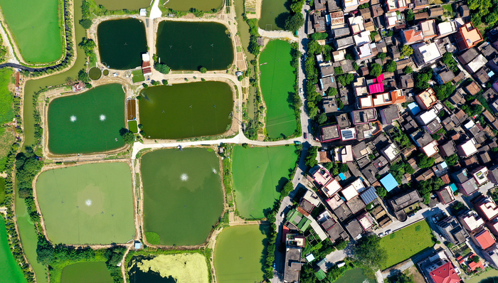 GDP,深圳,制造业,广东