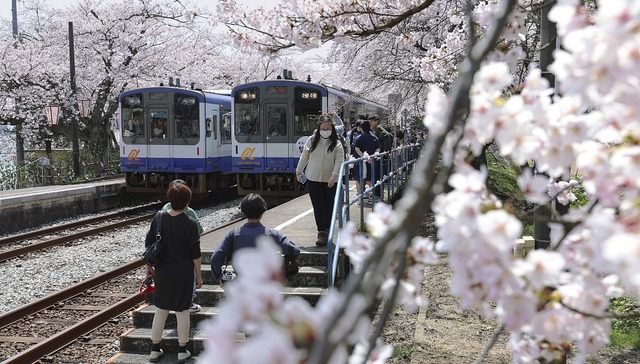 日本大地震预警，劝退火爆的赴日旅游了吗？