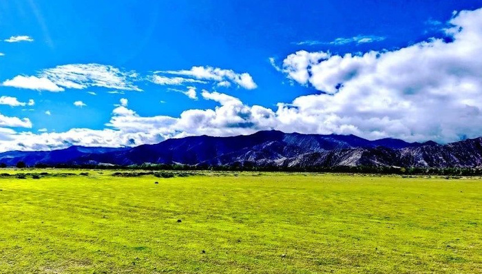 万亩马铃薯田侵占黑颈鹤国家保护区，检察机关助力生态修复