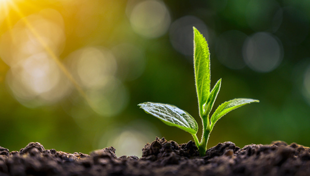 为发展“明底线”“划边框”，生态环境分区管控制度改革成果发布