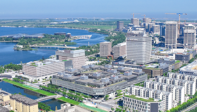 上海，临港新片区，重点项目，开工