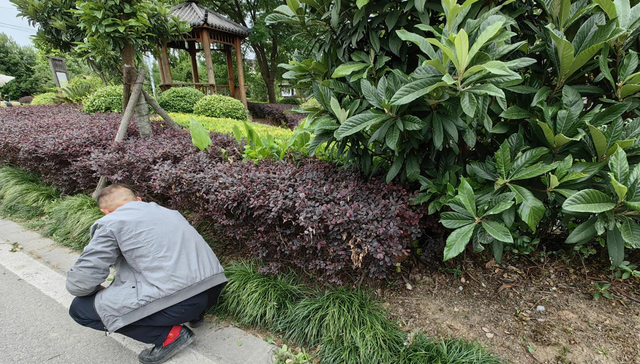 积分制,村民,积分规则,乡村治理,积分兑换,租客,物质激励,可积,周浦镇,基层治理