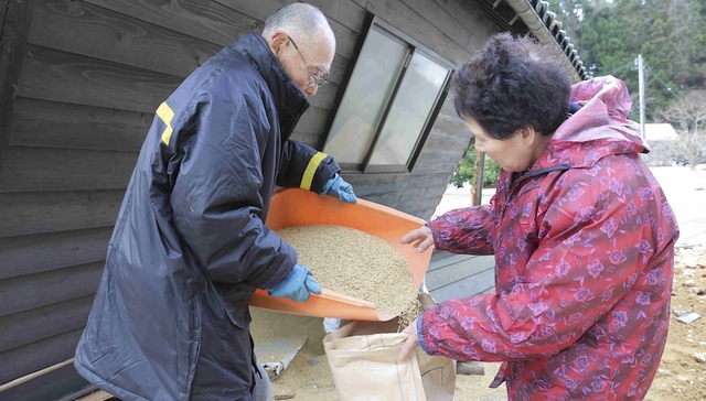 日本闹米荒，游客暴增、极端天气可能都不是根本原因