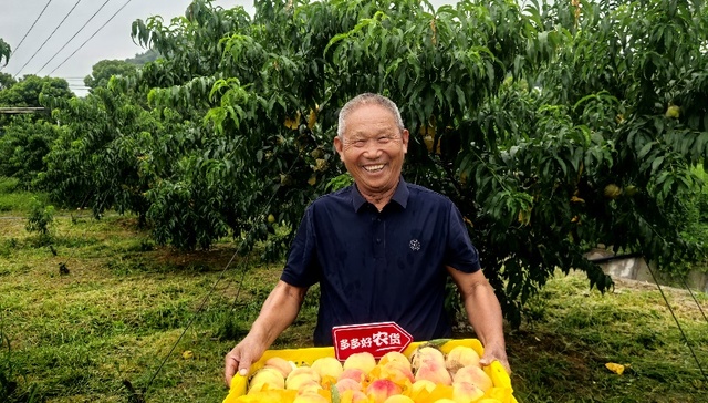 拼多多发布Q2财报，投入百亿扶持新质商家，持续助力商家提质增效