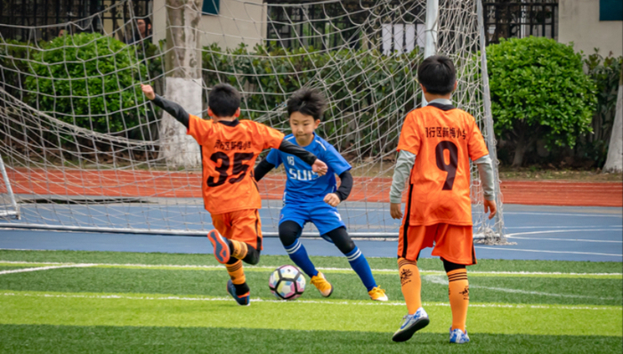 上海市中小学校外实践教育促进规定,上海市十六届人大常委会第十五次会议,校外实践,,普陀区教育工作党委