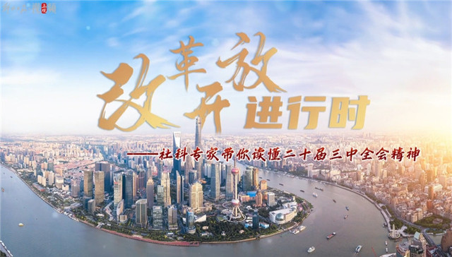 体制机制,政策优化,生产性服务业,供应链,三中全会,新质,推动经济,决定,实体经济,数字经济