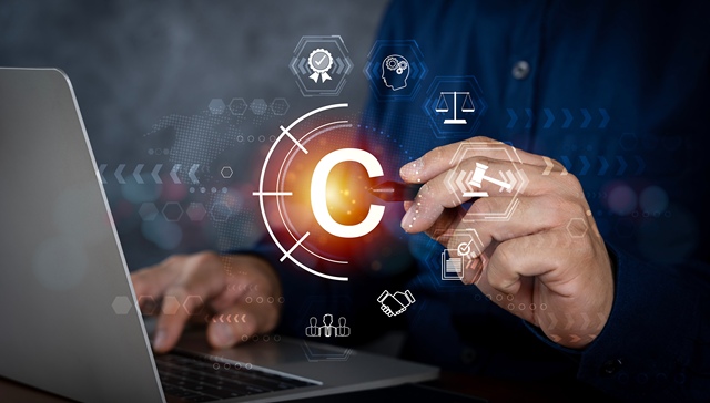 知识产权，营商环境，反垄断