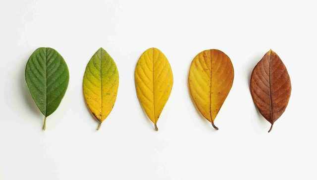 追求稳健增值  绩优低波“固收+”再受关注