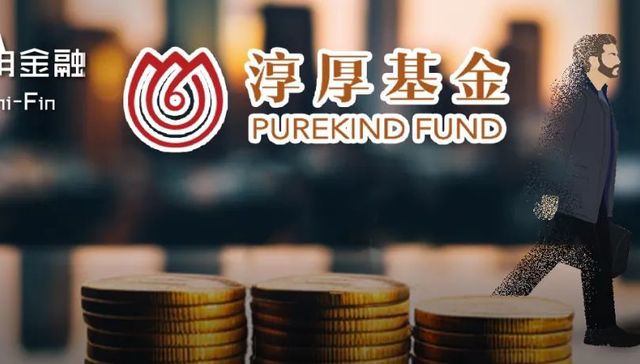 淳厚基金,柳志伟,基金,A股