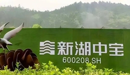 曾经的温州首富“坠落”：新湖中宝债务压顶，短期负债是货币资金的3倍，员工理财爆雷