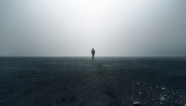 我们试图变好一点的努力，成为一种对抗虚无和无意义的方式 | 一周新书推荐