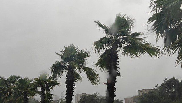 台风“摩羯”第三次登陆越南一带，海南降级台风预警展开灾后恢复工作