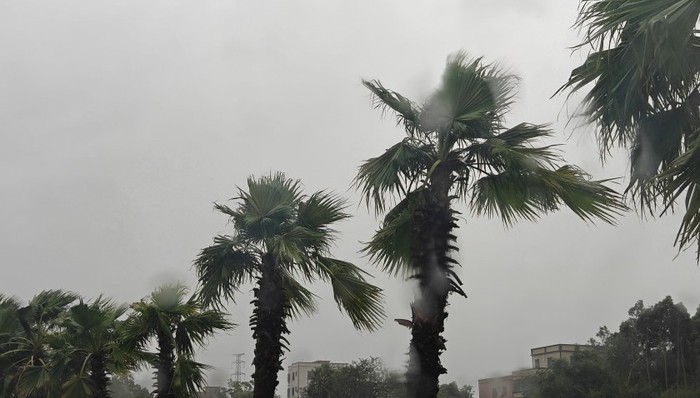 台风“摩羯”第三次登陆越南一带，海南降级台风预警展开灾后恢复工作
