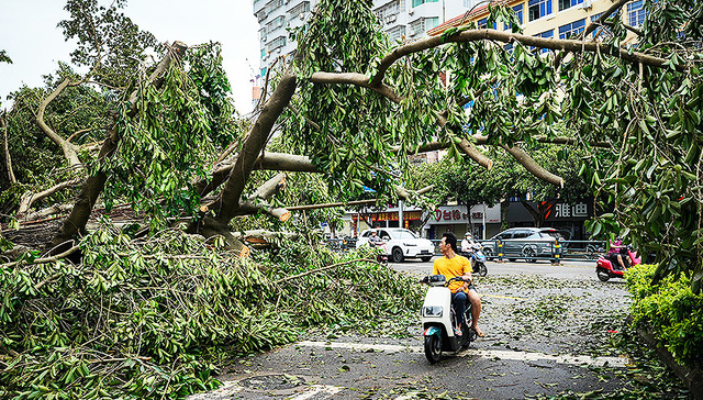 【图集】最强秋台风“摩羯”过后，海口市民：仍停水停电，热得睡不着觉
