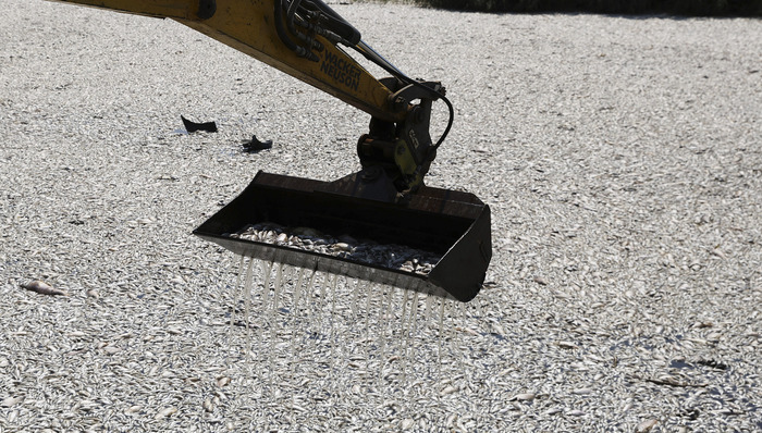 洪水一年后海港成淡水鱼“坟场”，这个希腊旅游小城有哪些环境启示？