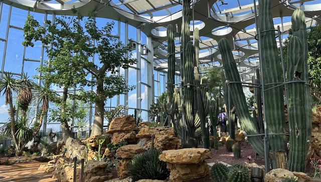 上海，温室花园，公园，世博